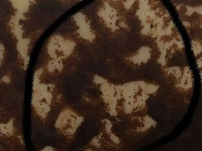 Запись на гадание к гадалке во Всеволожске